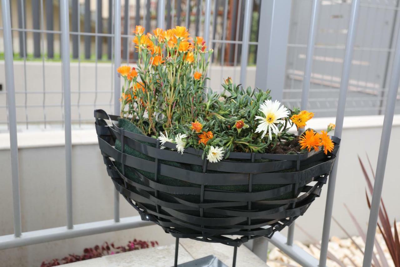 Db Apartments - Dabasso เมสเตร ภายนอก รูปภาพ